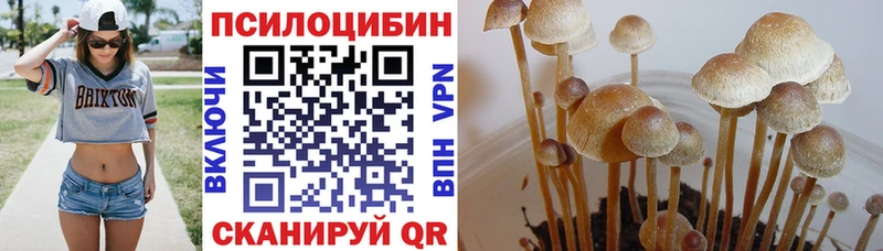 Псилоцибиновые грибы мухоморы  Купить закладки  Михайловск 